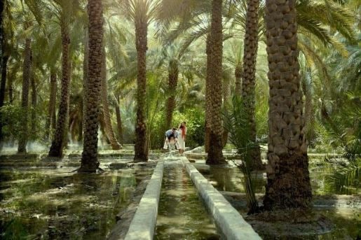 travel to the Past at Al Ain Oasis_2